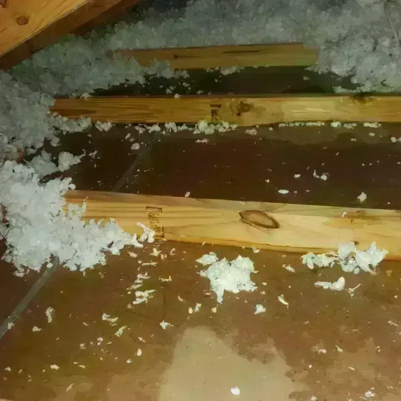 Attic Water Damage in Glades County, FL